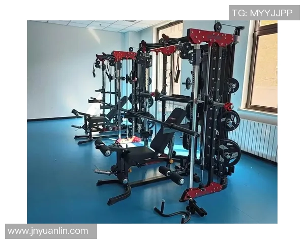 全面解析室内健身器材大全及其价格信息助你选择最适合的健身设备